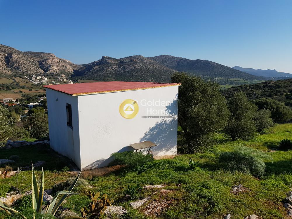 Αγροτεμάχια 1.400 τ.μ. προς πώληση, Χάρακας Κερατέας
