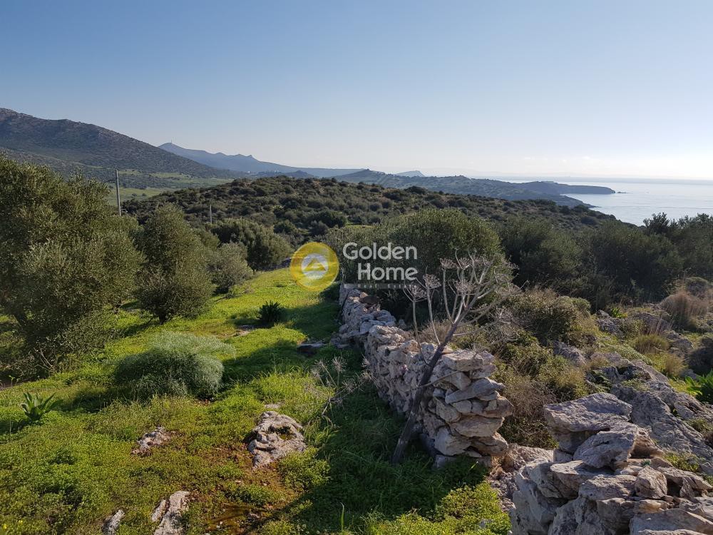 Αγροτεμάχια 1.400 τ.μ. προς πώληση, Χάρακας Κερατέας