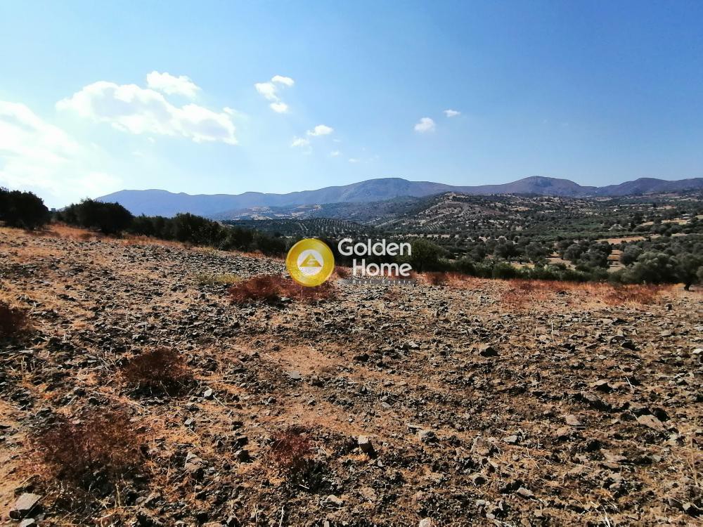 Οικόπεδο 17.088 τ.μ. πρός πώληση, Ν. Ηρακλείου, Τυμπάκι