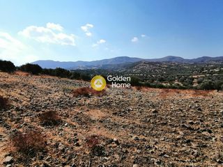 Οικόπεδο 17.088 τ.μ. για πώληση