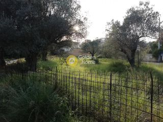 Land plot 775 sqm for sale