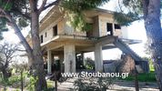 Detached home 164sqm for sale-Gastouni » Koroivos