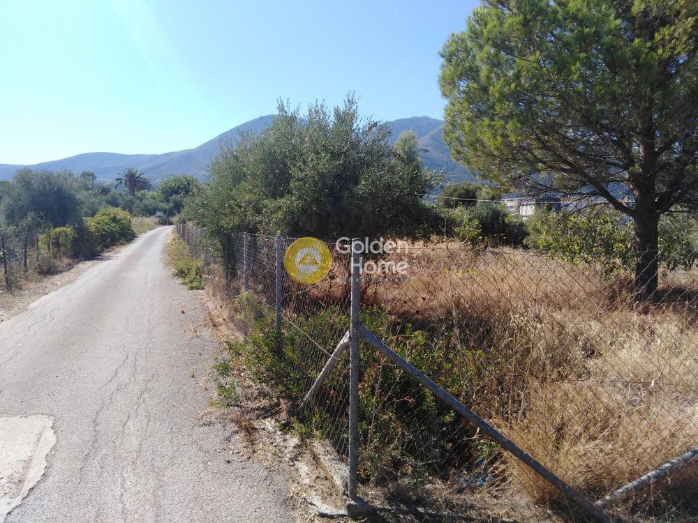 Αγροτεμάχια 4.300 τ.μ. προς πώληση, Κάμπος Κυπαρισσίας