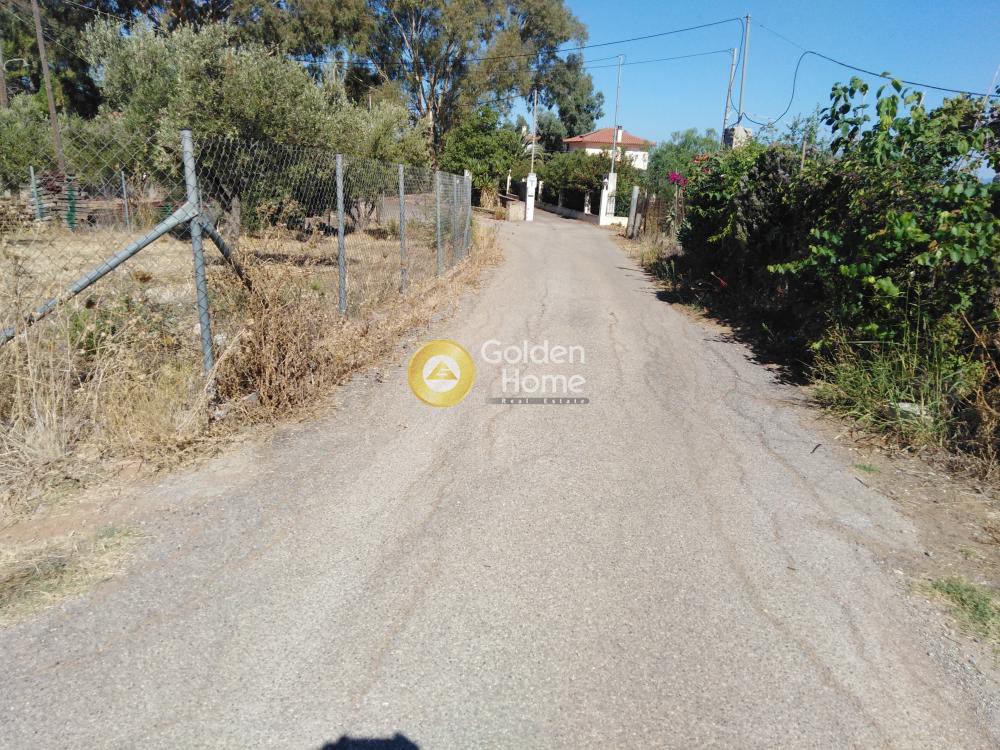 Αγροτεμάχια 4.300 τ.μ. προς πώληση, Κάμπος Κυπαρισσίας