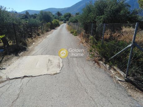 Αγροτεμάχια 4.300τ.μ. για πώληση-Κυπαρισσία » Κάμπος