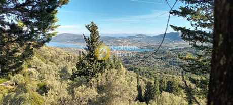 Αγροτεμάχια 9.600τ.μ. για πώληση-Κεκροπία (παλαίρου) » Πλαγιά