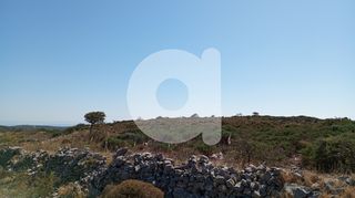 Αγροτεμάχια 15.588 τ.μ. για πώληση