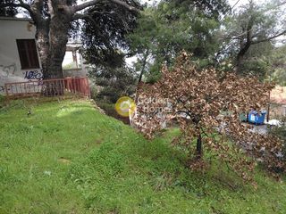 Οικόπεδο 965 τ.μ. για πώληση