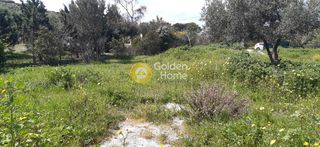 Οικόπεδο 3.333 τ.μ. προς πώληση, Τριανταφυλλιά Κερατέας-thumb-1