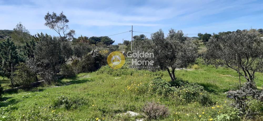 Οικόπεδο 3.333 τ.μ. πρός πώληση, Αττική - Υπόλοιπο, Κερατέα