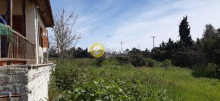 Οικόπεδο 3.333 τ.μ. προς πώληση, Τριανταφυλλιά Κερατέας-thumb-2