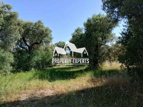 Parcel 400sqm for sale-Alexandroupoli » Makri