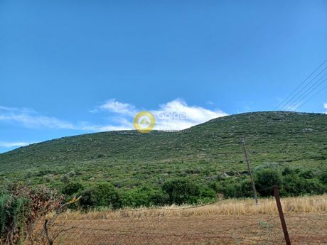 Οικόπεδο 1.884.000 τ.μ. για πώληση
