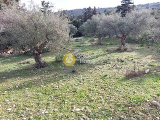 Οικόπεδο 3.500 τ.μ. προς πώληση, Γαβαλοχώρι-thumb-1