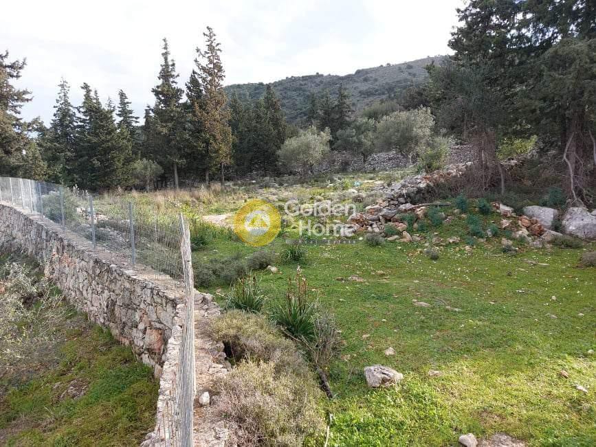 Οικόπεδο 3.500 τ.μ. πρός πώληση, Ν. Χανίων, Βάμος