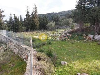 Οικόπεδο 3.500 τ.μ. για πώληση