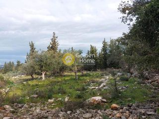 Οικόπεδο 3.500 τ.μ. προς πώληση, Γαβαλοχώρι-thumb-2