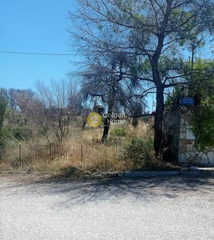 Οικόπεδο 1.030τ.μ. για πώληση-Μαλεσίνα » Θεολόγος