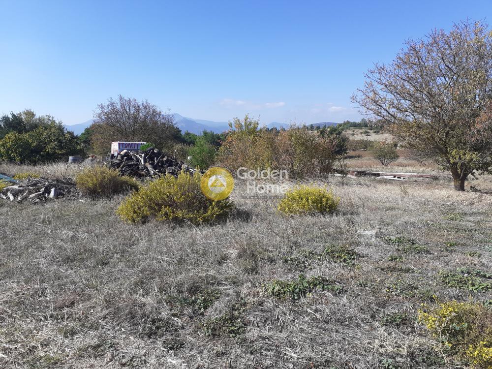 Οικόπεδο 11.500 τ.μ. πρός πώληση, Αττική - Υπόλοιπο, Κ. Καπανδριτίου