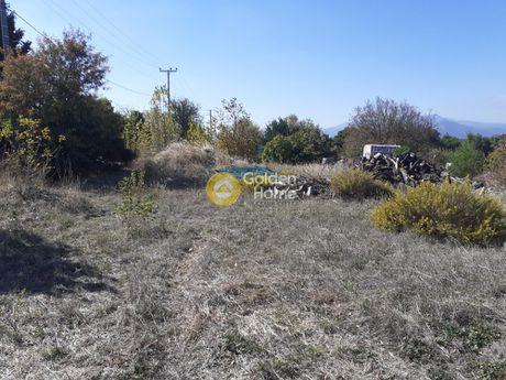 Οικόπεδο 11.500τ.μ. για πώληση-Κ. καπανδριτίου » Καπανδρίτι