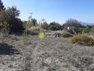 Οικόπεδο 11.500 τ.μ. για πώληση