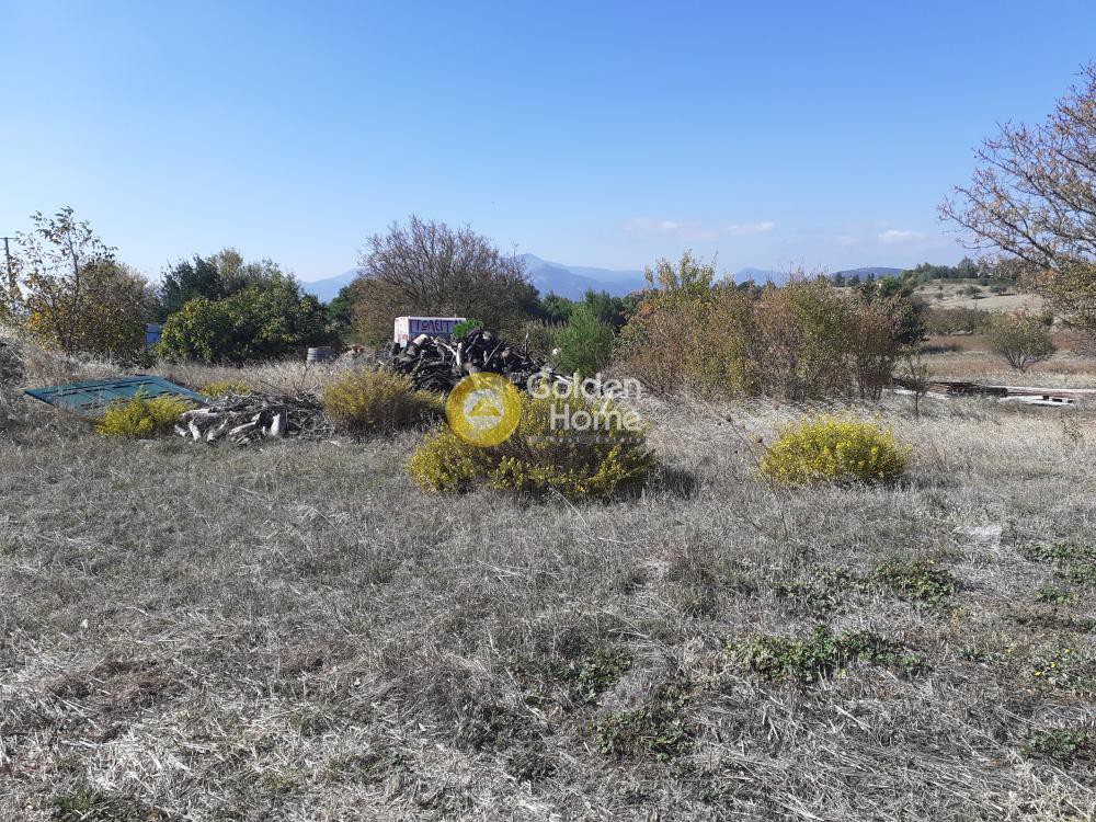 Οικόπεδο 11.500 τ.μ. πρός πώληση, Αττική - Υπόλοιπο, Κ. Καπανδριτίου