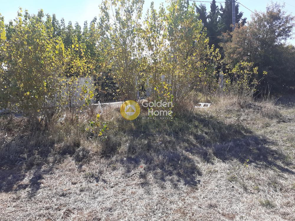 Οικόπεδο 11.500 τ.μ. πρός πώληση, Αττική - Υπόλοιπο, Κ. Καπανδριτίου