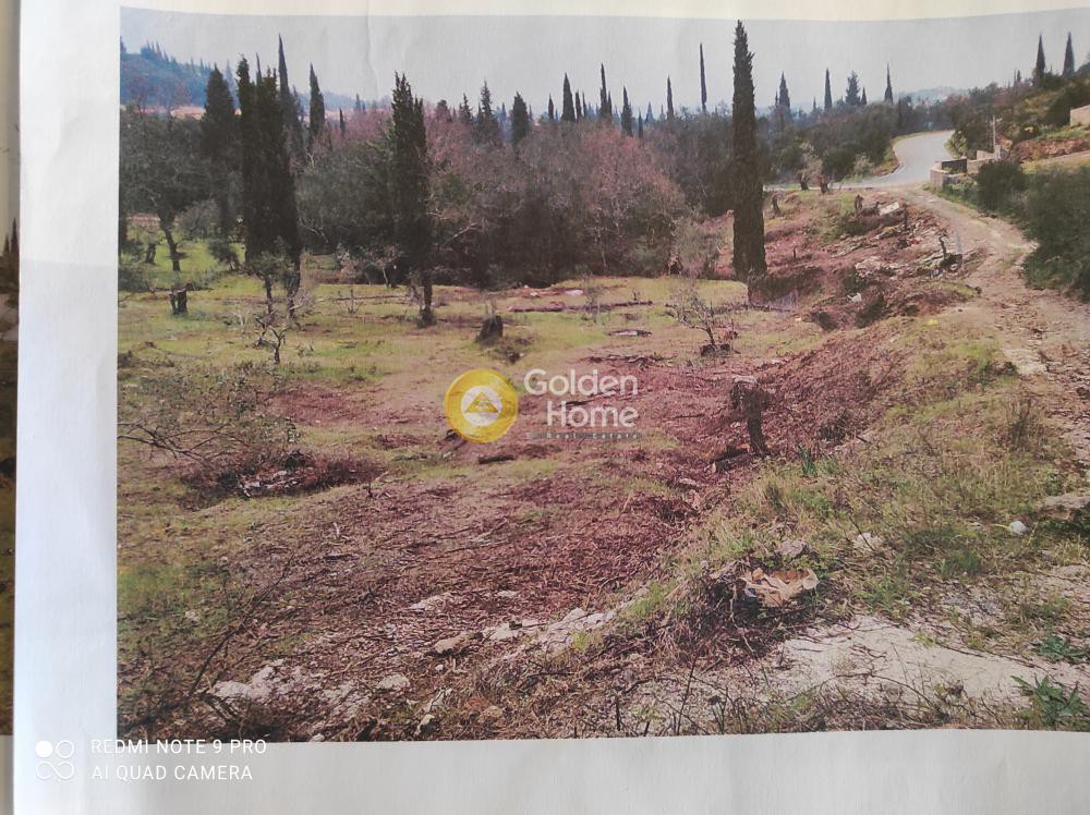 Οικόπεδο 3.821 τ.μ. πρός πώληση, Ν. Κέρκυρας, Κέρκυρα