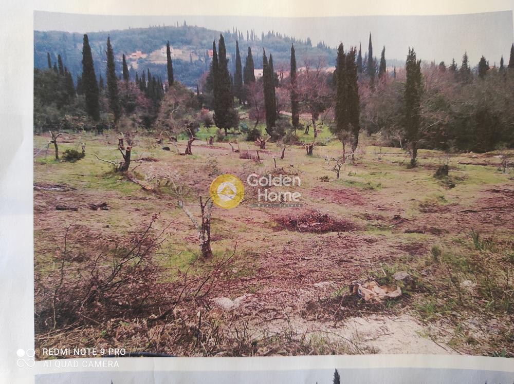 Οικόπεδο 3.821 τ.μ. πρός πώληση, Ν. Κέρκυρας, Κέρκυρα