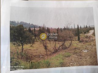Οικόπεδο 3.821 τ.μ. για πώληση