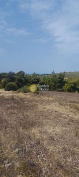 Αγροτεμάχια 7.142τ.μ. για πώληση-Ορμύλια » Μεταμόρφωση