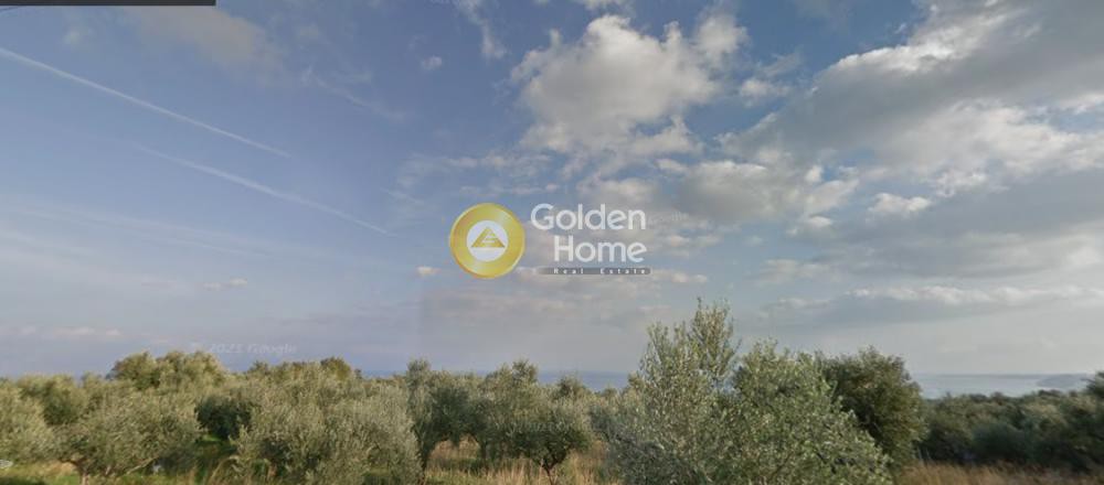 Αγροτεμάχια 4.003 τ.μ. προς πώληση, Μεσσηνία, Αίπεια
