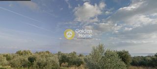 Αγροτεμάχια 4.003 τ.μ. για πώληση