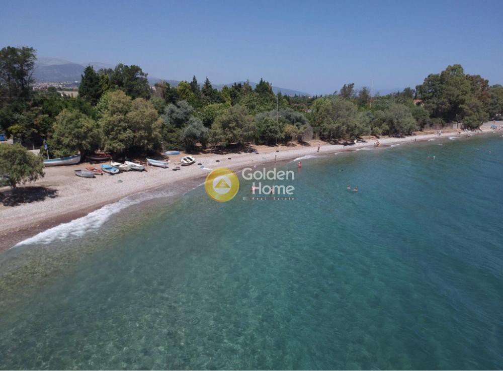 Οικόπεδο 1.508 τ.μ. πρός ενοικίαση, Αχαΐα, Διακοπτό