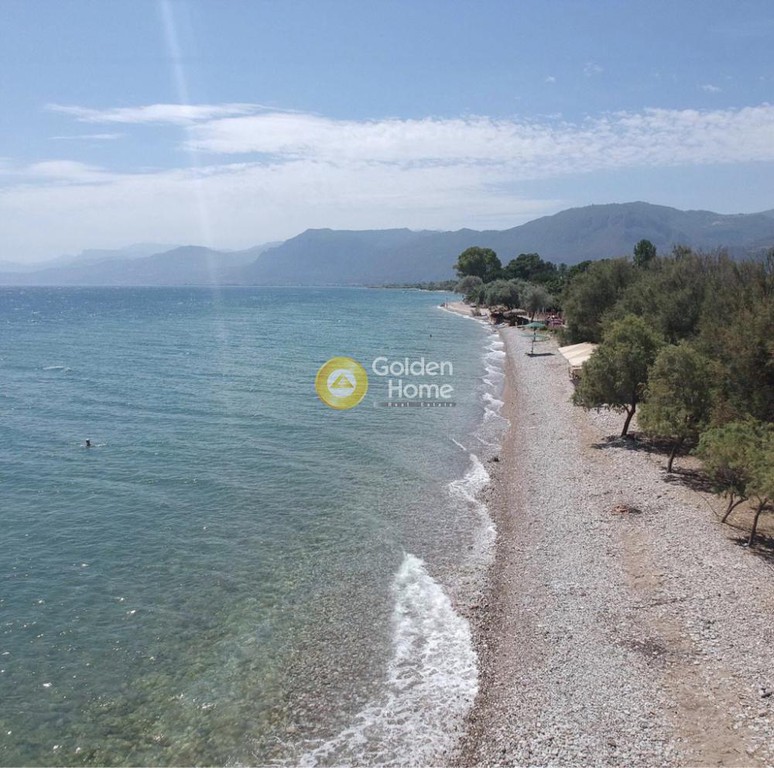 Οικόπεδο 1.508 τ.μ. πρός ενοικίαση, Αχαΐα, Διακοπτό