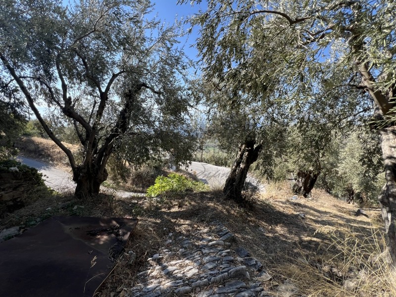 Μονοκατοικία 70 τ.μ. πρός πώληση, Μαγνησία, Μηλιές