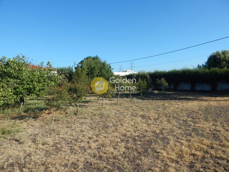 Land plot 3.000sqm for sale-Gerakas » Mpalana