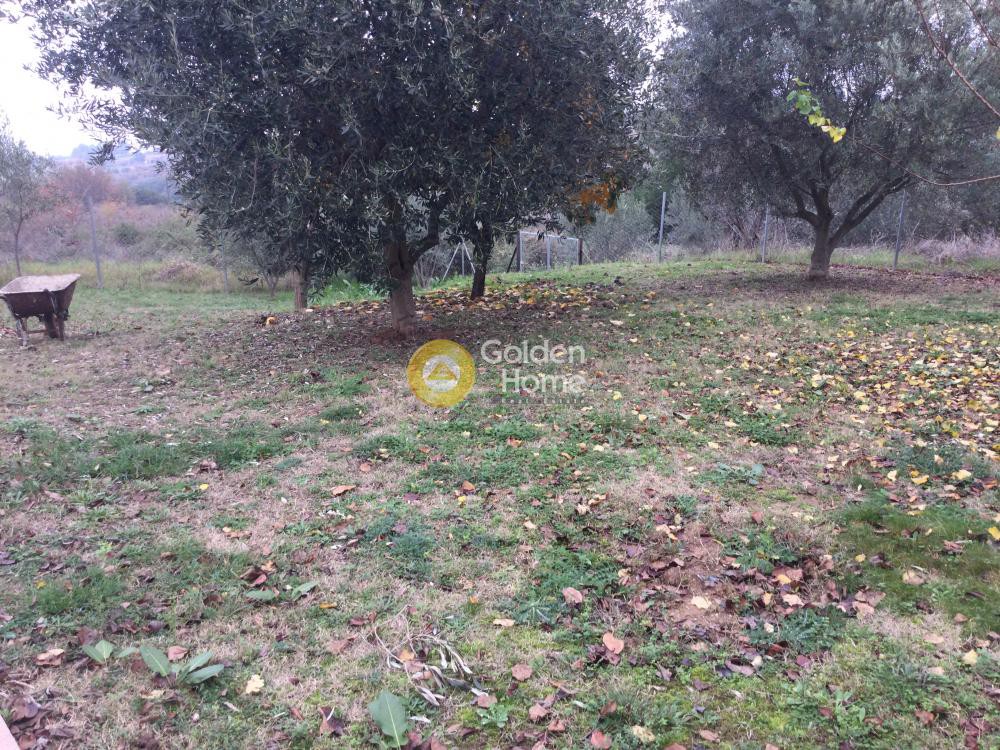 Μονοκατοικία 400 τ.μ. προς πώληση, Πλαγιάρι Θέρμης