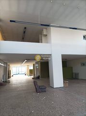 Κατάστημα 616 τ.μ. για πώληση, Ν. Λάρισας, Λάρισα-thumb-5