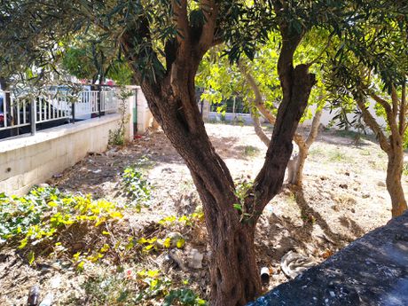 Store 366sqm for rent-Acharnes