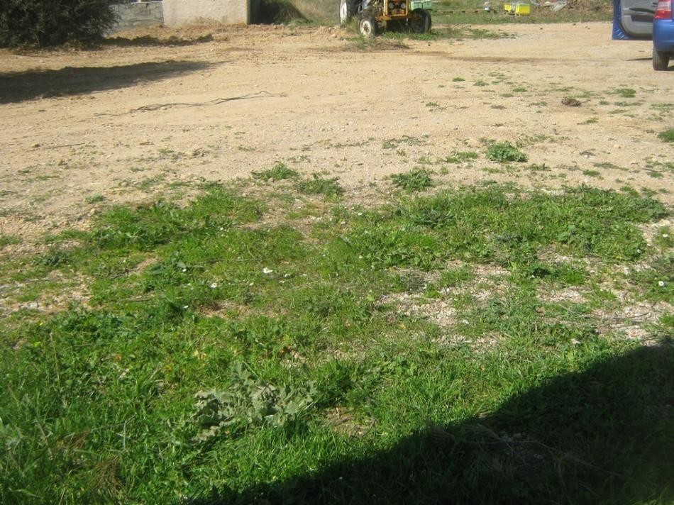 Αγροτεμάχια 2.200 τ.μ. προς πώληση, Ρέθι Αχαρνών