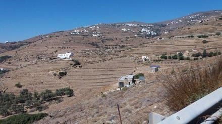 Αγροτεμάχια 4.023 τ.μ. προς πώληση, Τριαντάρος