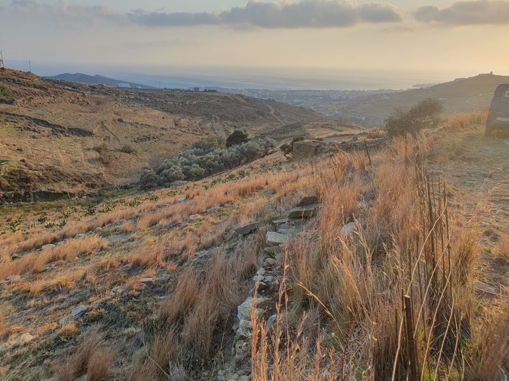 Αγροτεμάχια 4.023 τ.μ. προς πώληση, Τριαντάρος