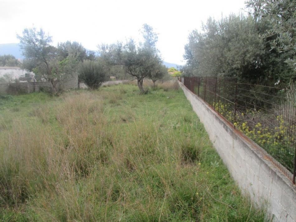 Αγροτεμάχια 1.160 τ.μ. προς πώληση, Αχαρνές