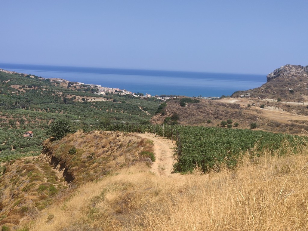Αγροτεμάχια 101.004 τ.μ. προς πώληση, Ποντικιανά