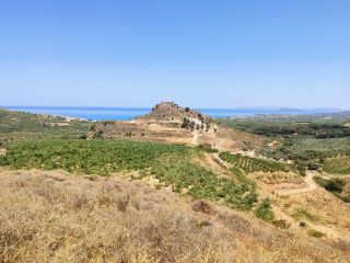 Αγροτεμάχια 101.004 τ.μ. για πώληση