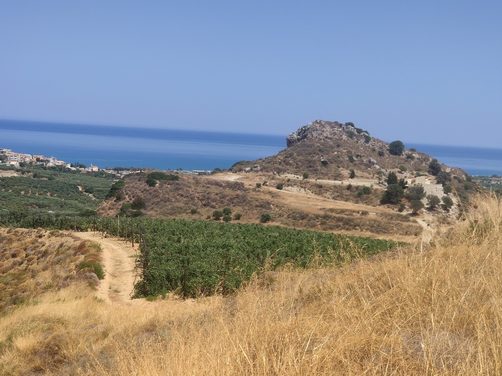 Αγροτεμάχια 101.004 τ.μ. προς πώληση, Ποντικιανά