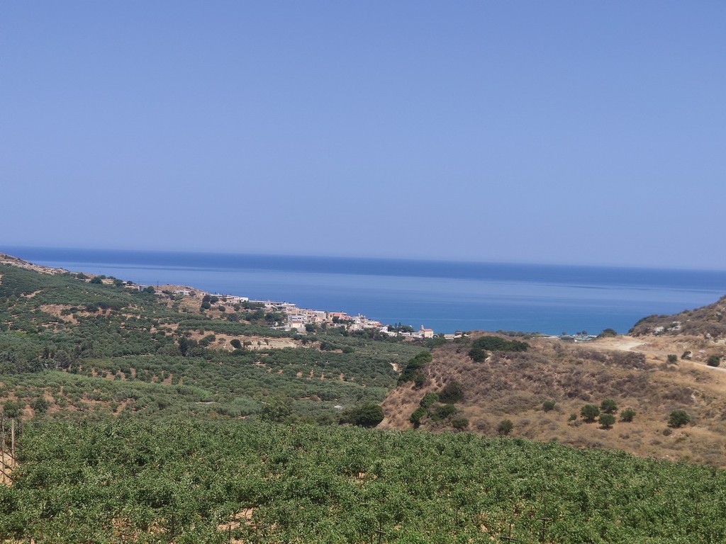 Αγροτεμάχια 101.004 τ.μ. προς πώληση, Ποντικιανά