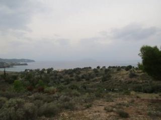 Αγροτεμάχια 4.020 τ.μ. για πώληση, Αργολίδα, Κρανίδι-thumb-7
