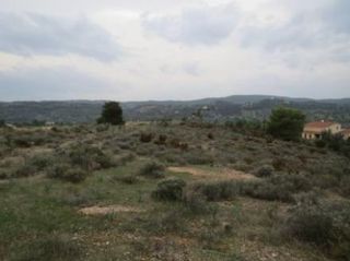 Αγροτεμάχια 4.020 τ.μ. για πώληση, Αργολίδα, Κρανίδι-thumb-6